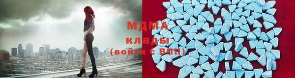 индика Вяземский