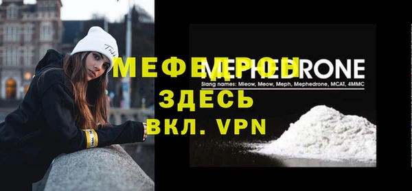 индика Вяземский