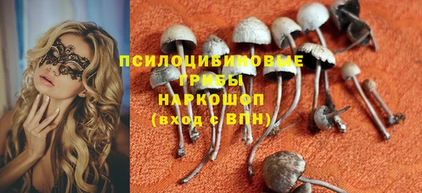мдпв Вязьма