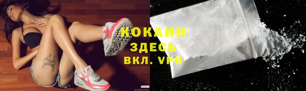индика Вяземский