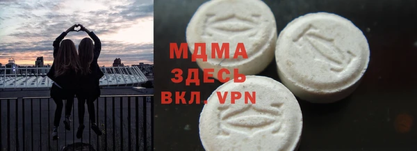 индика Вяземский