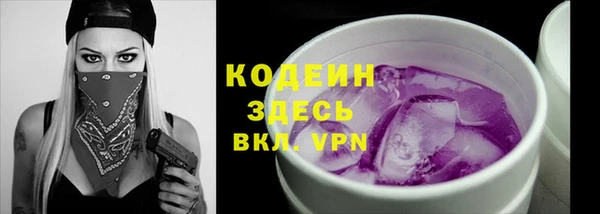 индика Вяземский