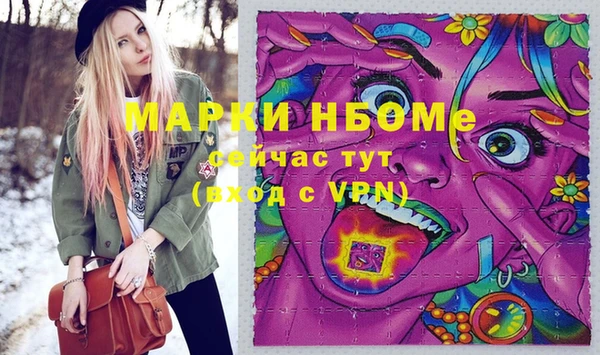 индика Вяземский