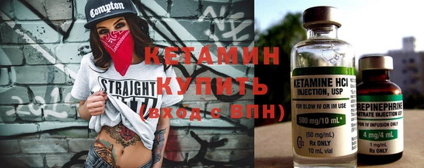 индика Вяземский