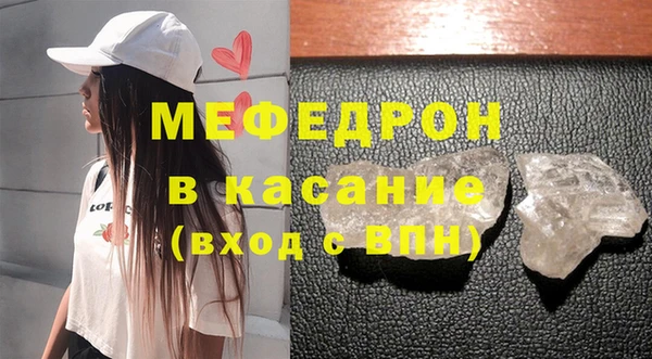 индика Вяземский