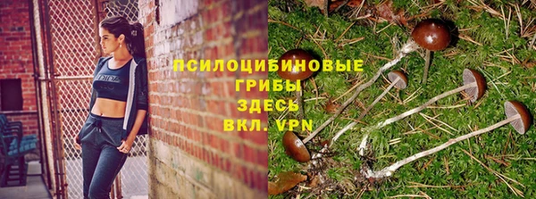 таблы Бронницы